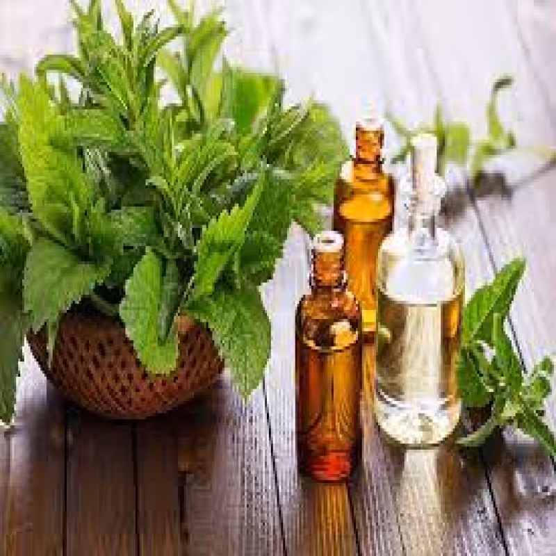 روغن نعنا تسکین دندان درد ، ضد عفونی کننده دهان ، رفع تنگی نفس ،باز کننده بینی