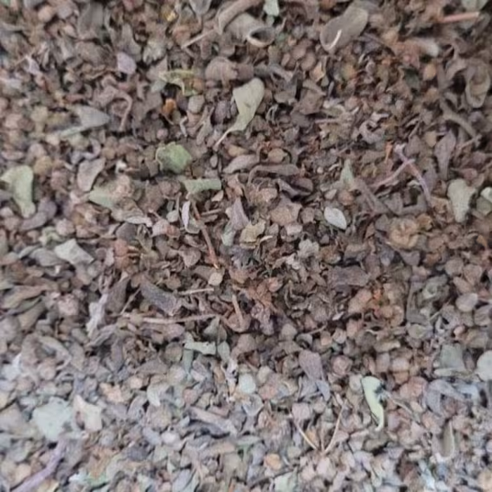 مرزنجوش سبز