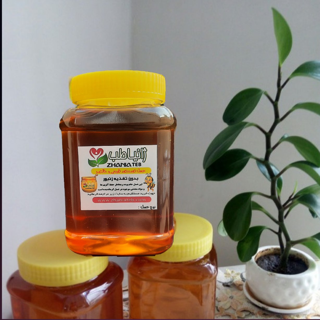 عسل کوهی (وحشی) خالص و طبیعی (480 گرمی)