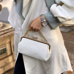 کیف پاسپورتی