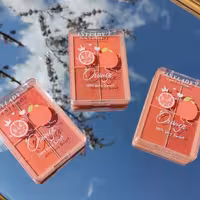 پالت رژ گونه آنی لیدی 