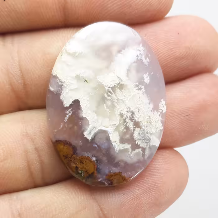 نگین شجر دریایی بی نظیر و معدنی 