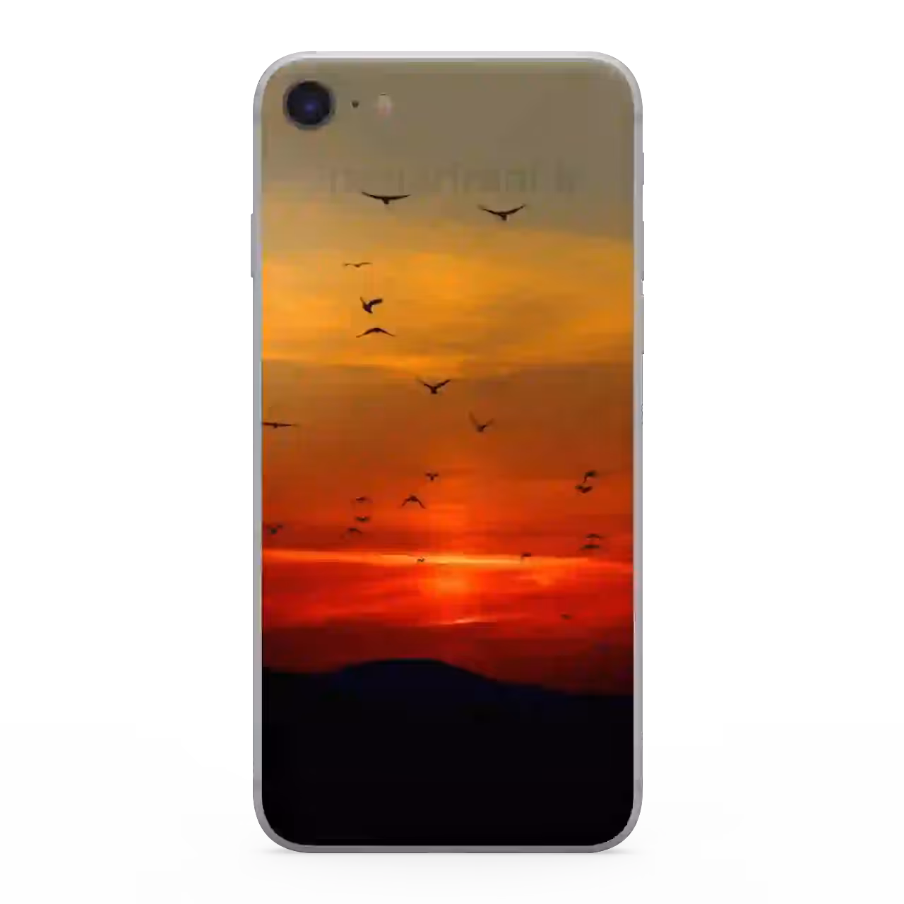 قاب گوشی پرنده های زیبا  مدل T53