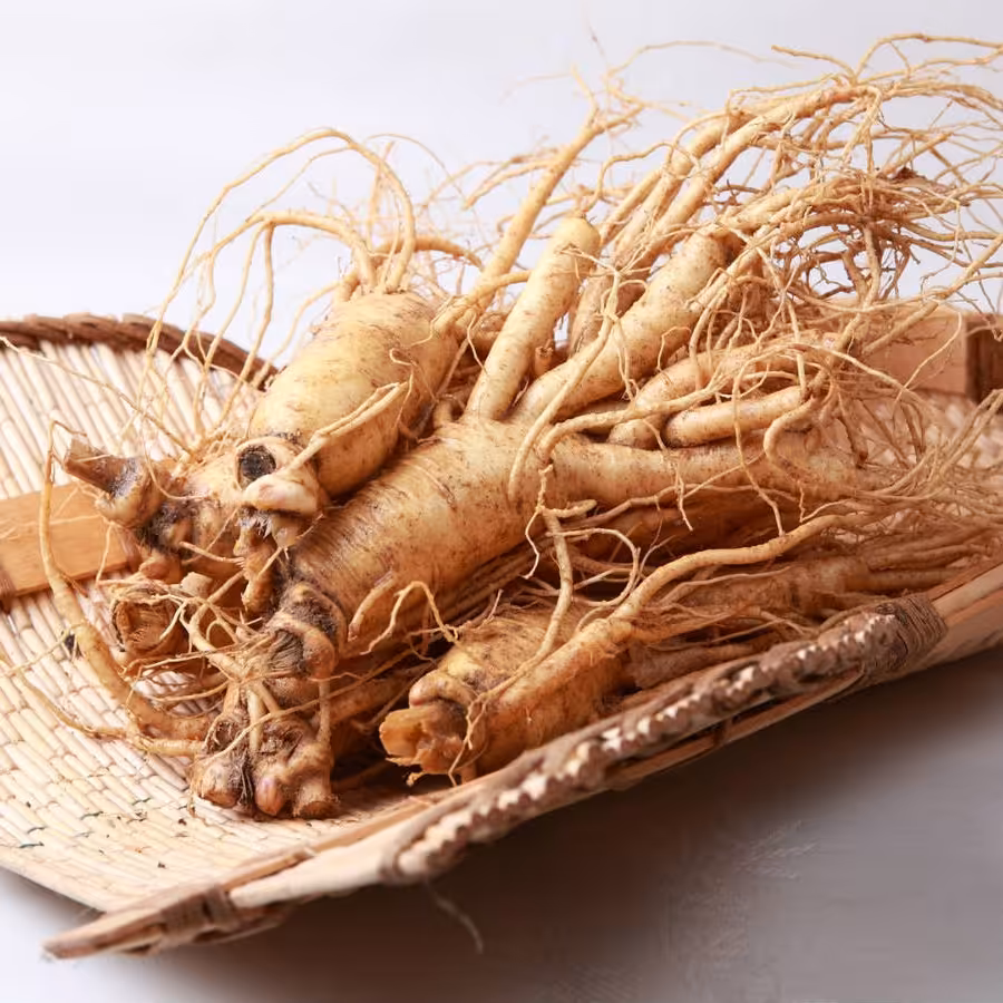 پودر عصاره پاناکس بالک (50 گرمی)