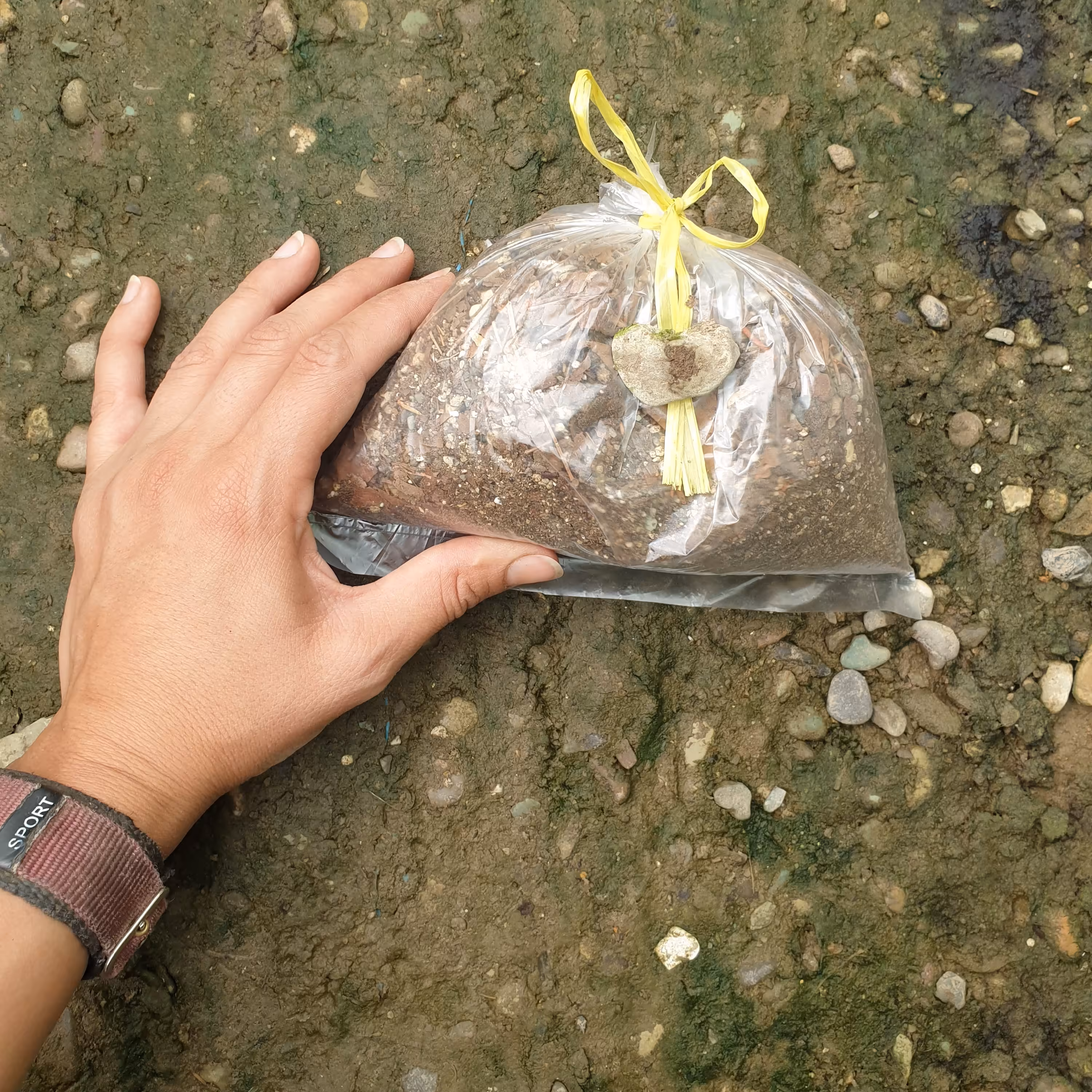 خاک مخصوص کاکتوس ،ساکولنت ،سانسوریا (یک لیتر)(با حداقل 250 تومن خرید از غرفمون ب نفع هردومون میشه)(هزینه پسکرایه)