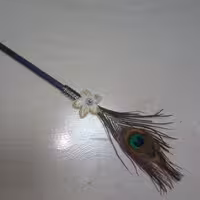 خودکار و مداد با پر طاووس