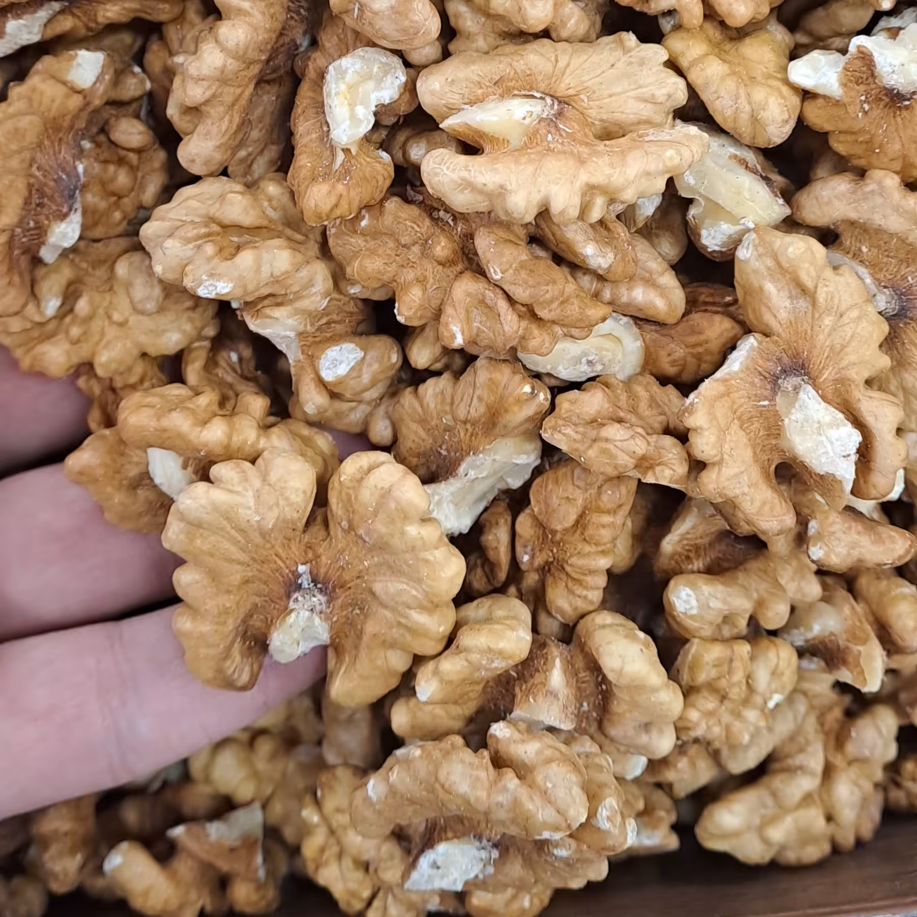 مغز گردو درجه یک(سفید)