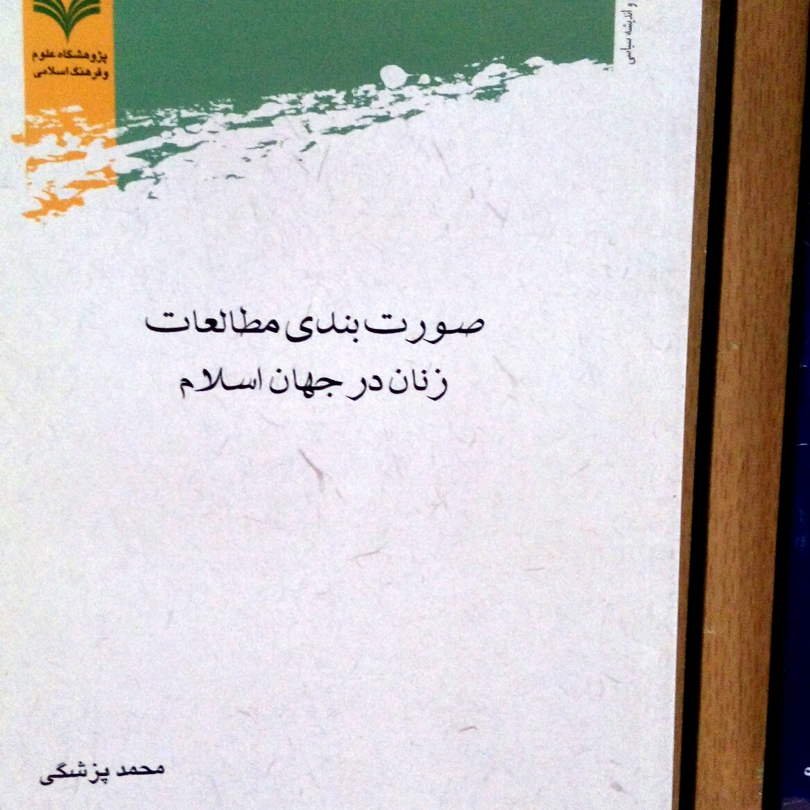 صورت بندی مطالعات زنان در جهان اسلام