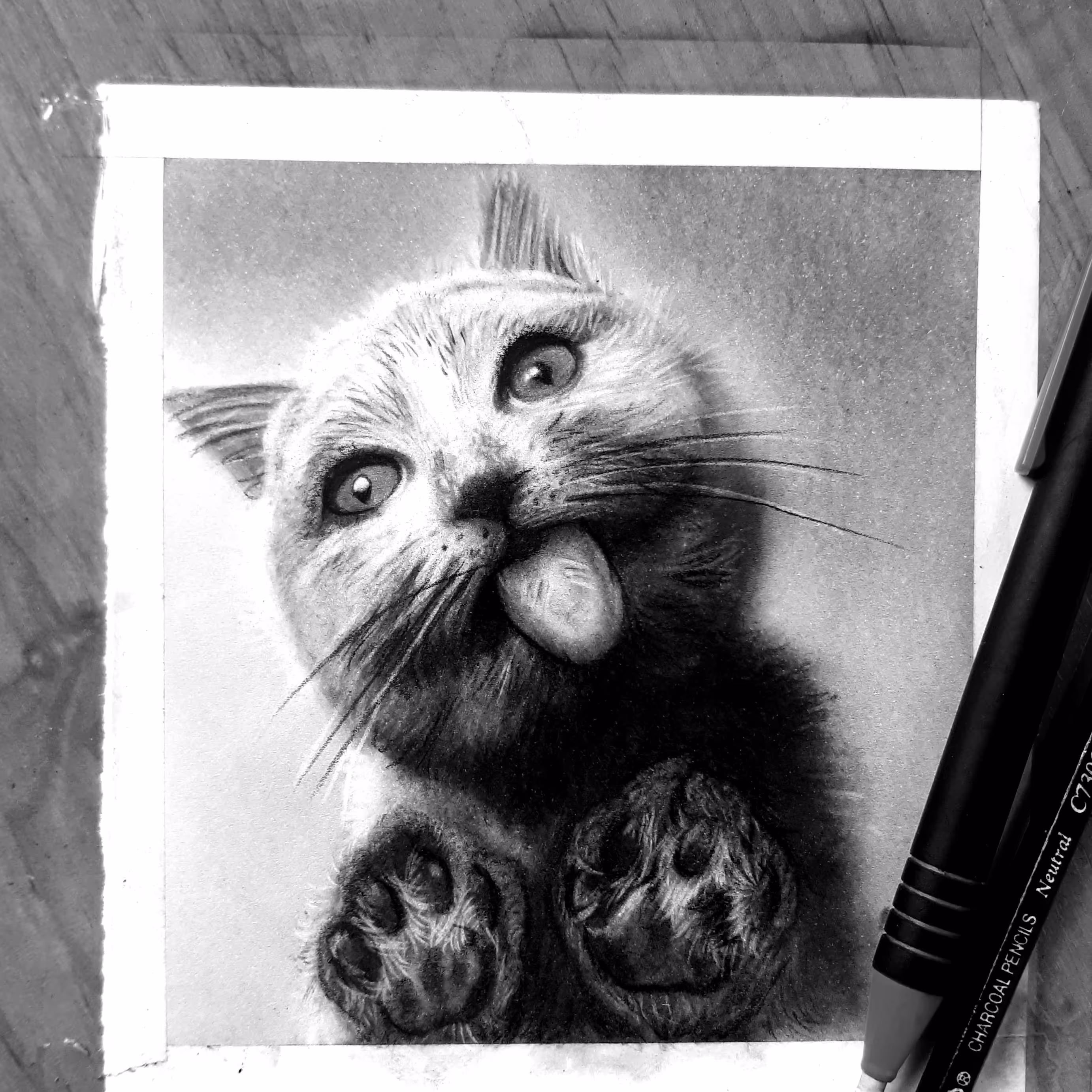 طراحی سیاه قلم گربه سایز a5