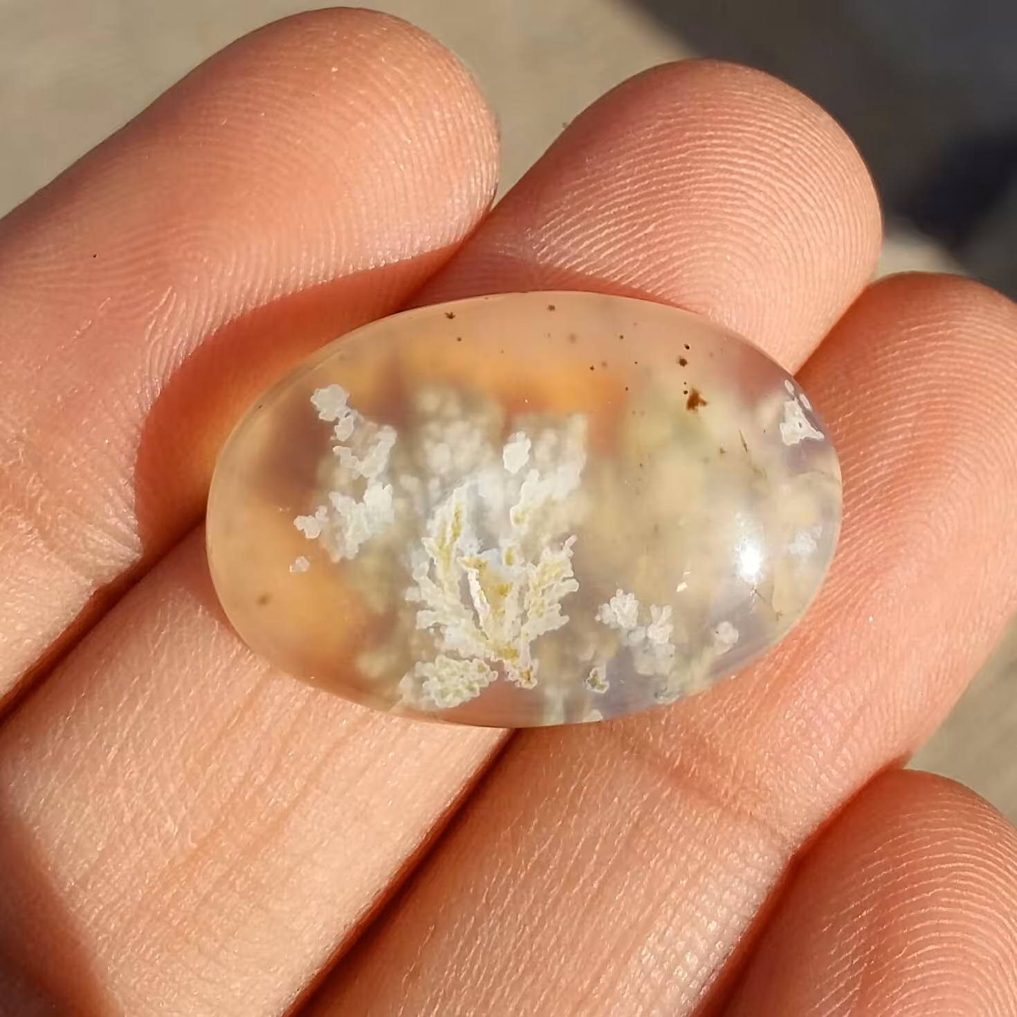 نگین شجر شکوفه با شجرهای واضح   بسیار خوش رنگ نگینی خاص و دیدنی کد 10278