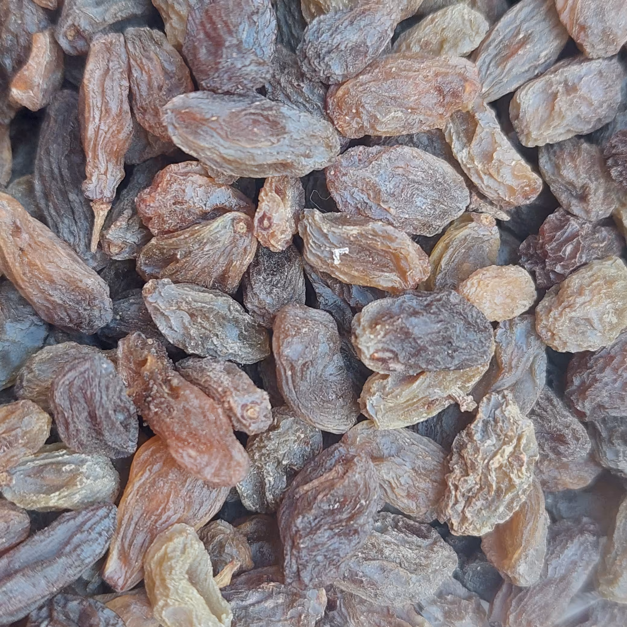 کشمش صد در صد ارگانیک سایه خشک 