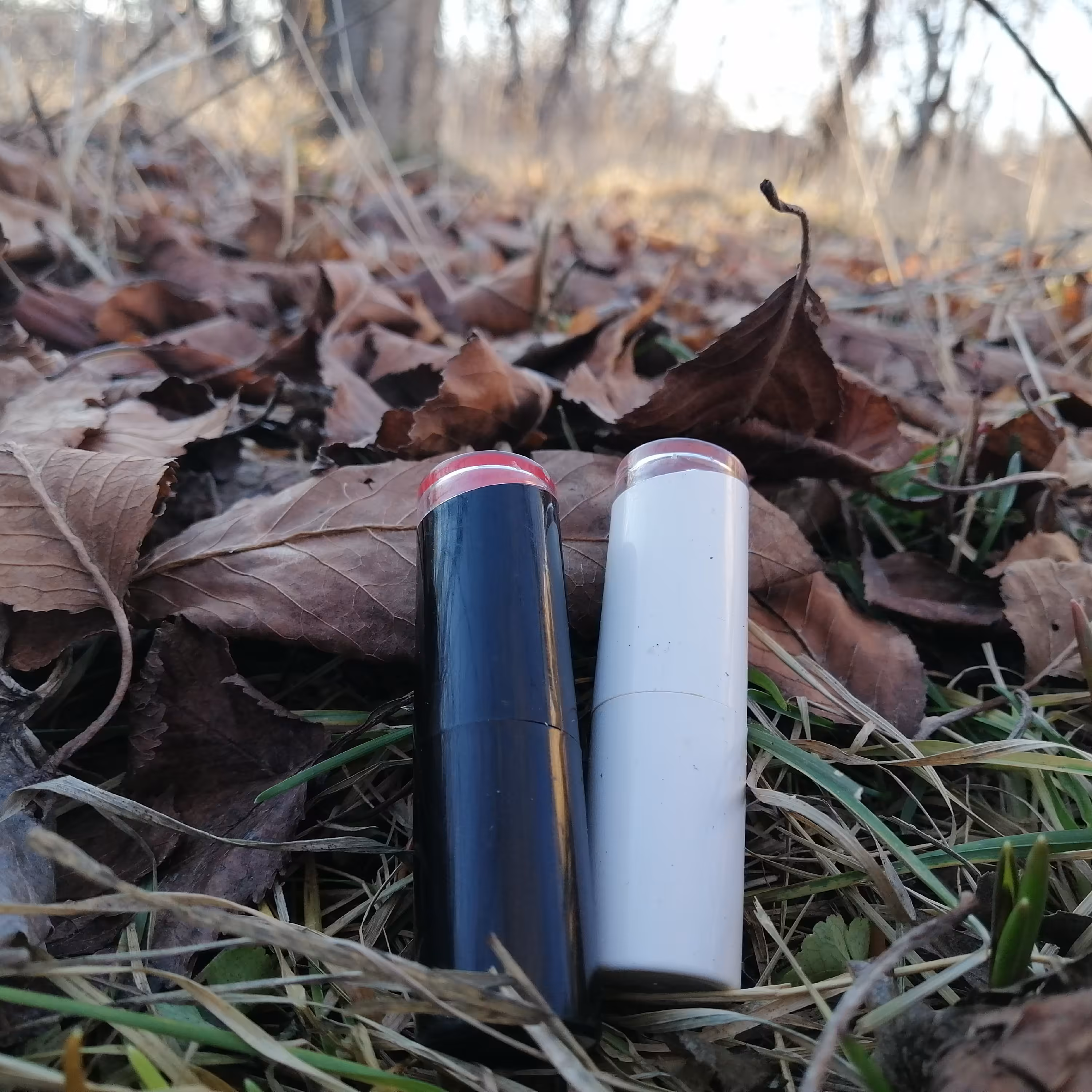 رژ لب گیاهی رولی  ( گیاهی سبز ) ( 6 گرمی ) 