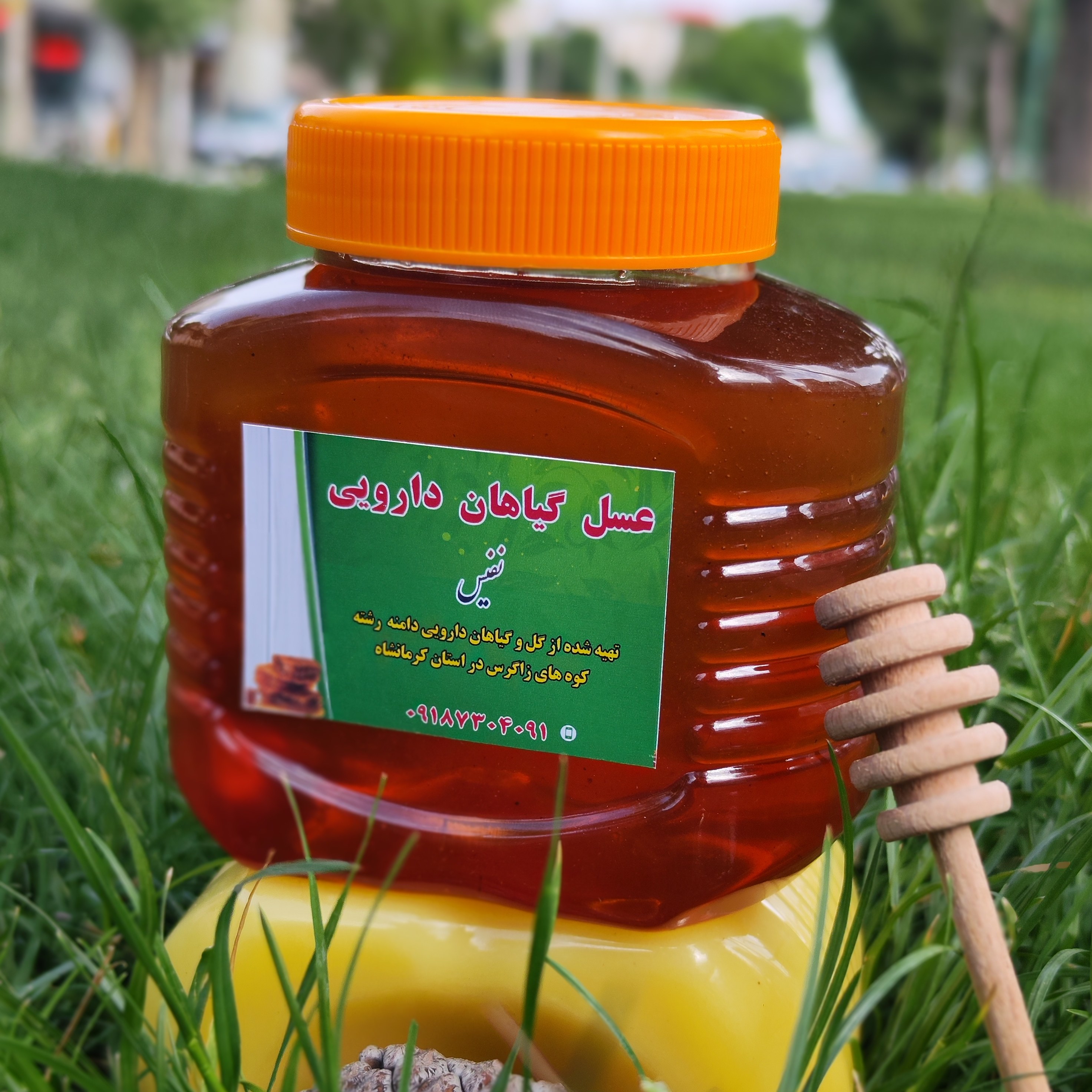 پک عسل گیاهان کوهستان نفیس و روغن کرمانشاهی میش 