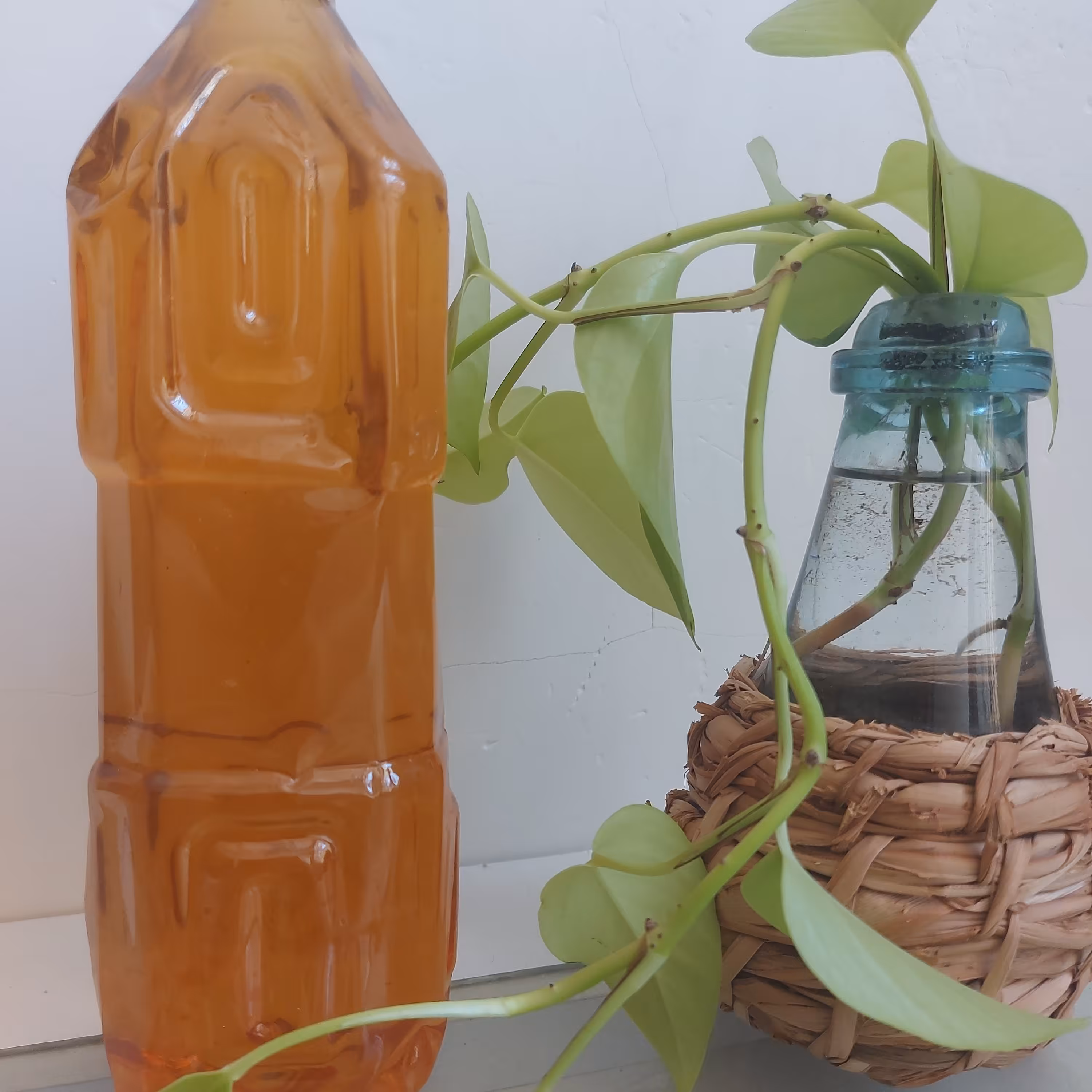 شربت بهار نارنج 