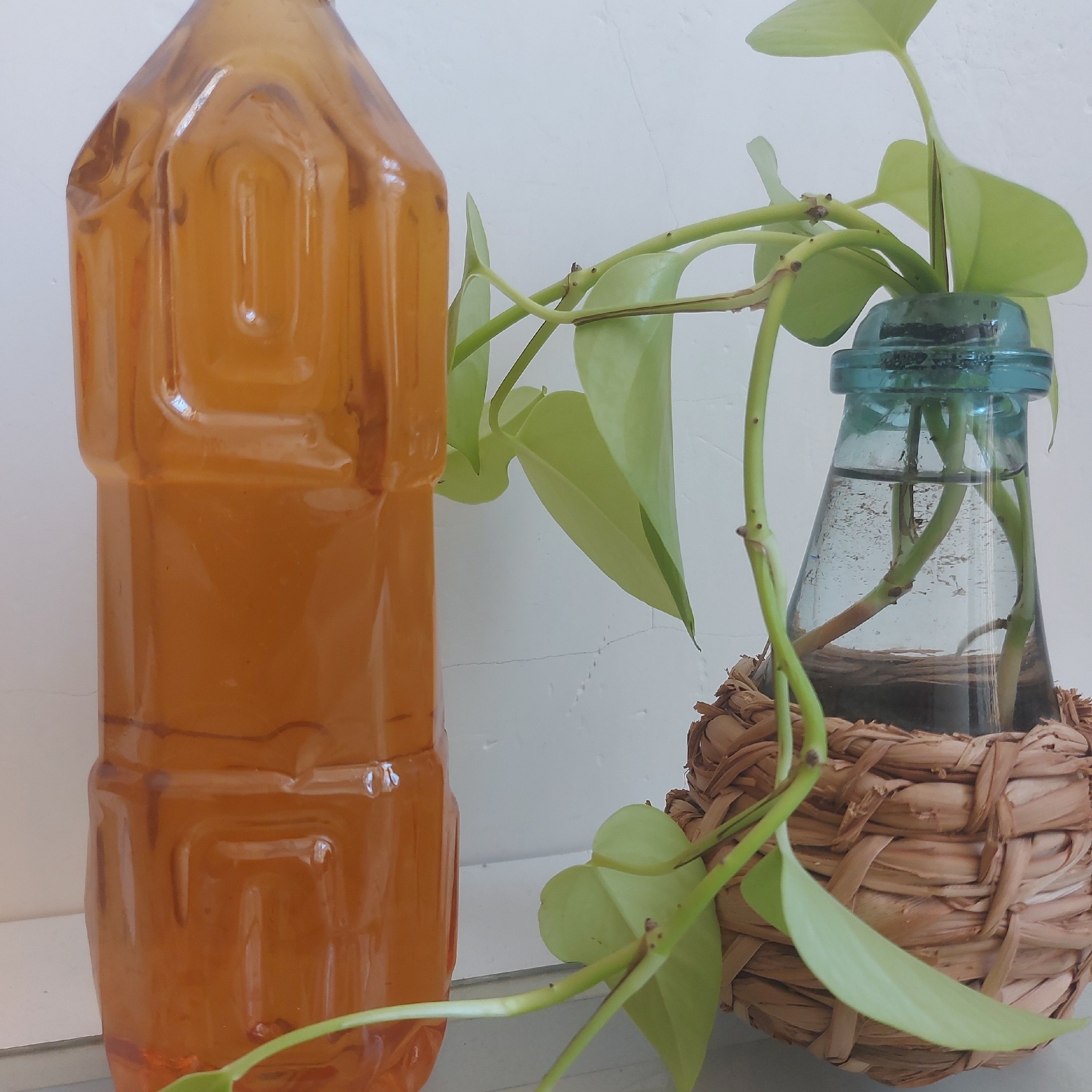 شربت بهار نارنج 