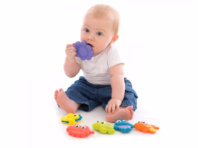 پوپت حیوانات دریایی  playgro کد 184962