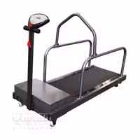 تردمیل سگ Fitness QY-C200