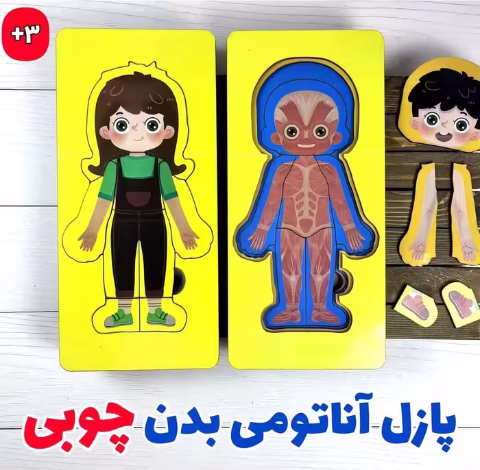 پازل چوبی آناتومی اعضای بدن (5 لایه)