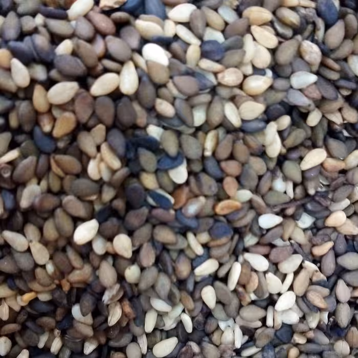 کنجد قهوه ای