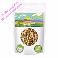 بادام زمینی غلاف دار با طعم نمک دستچین کالا - 500 گرم
