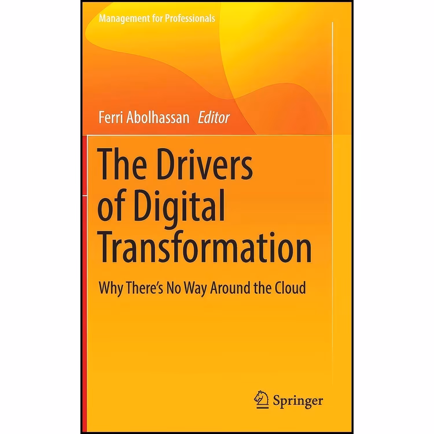 کتاب زبان اصلی The Drivers of Digital Transformation اثر Ferri Abolhassan
