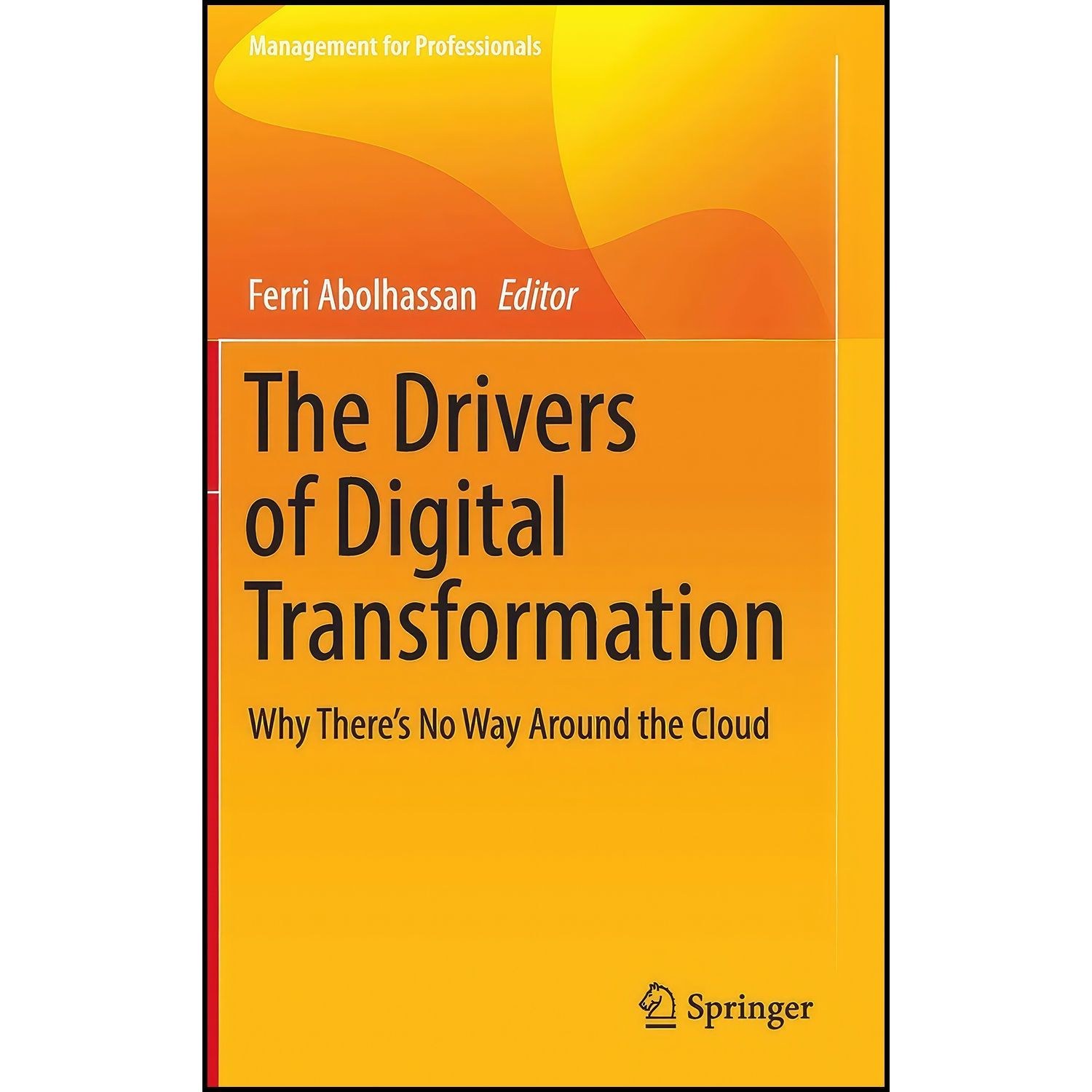 کتاب زبان اصلی The Drivers of Digital Transformation اثر Ferri Abolhassan