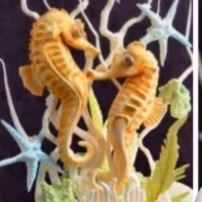 مولد اسب  دریایی 4 تایی  12 در6/5