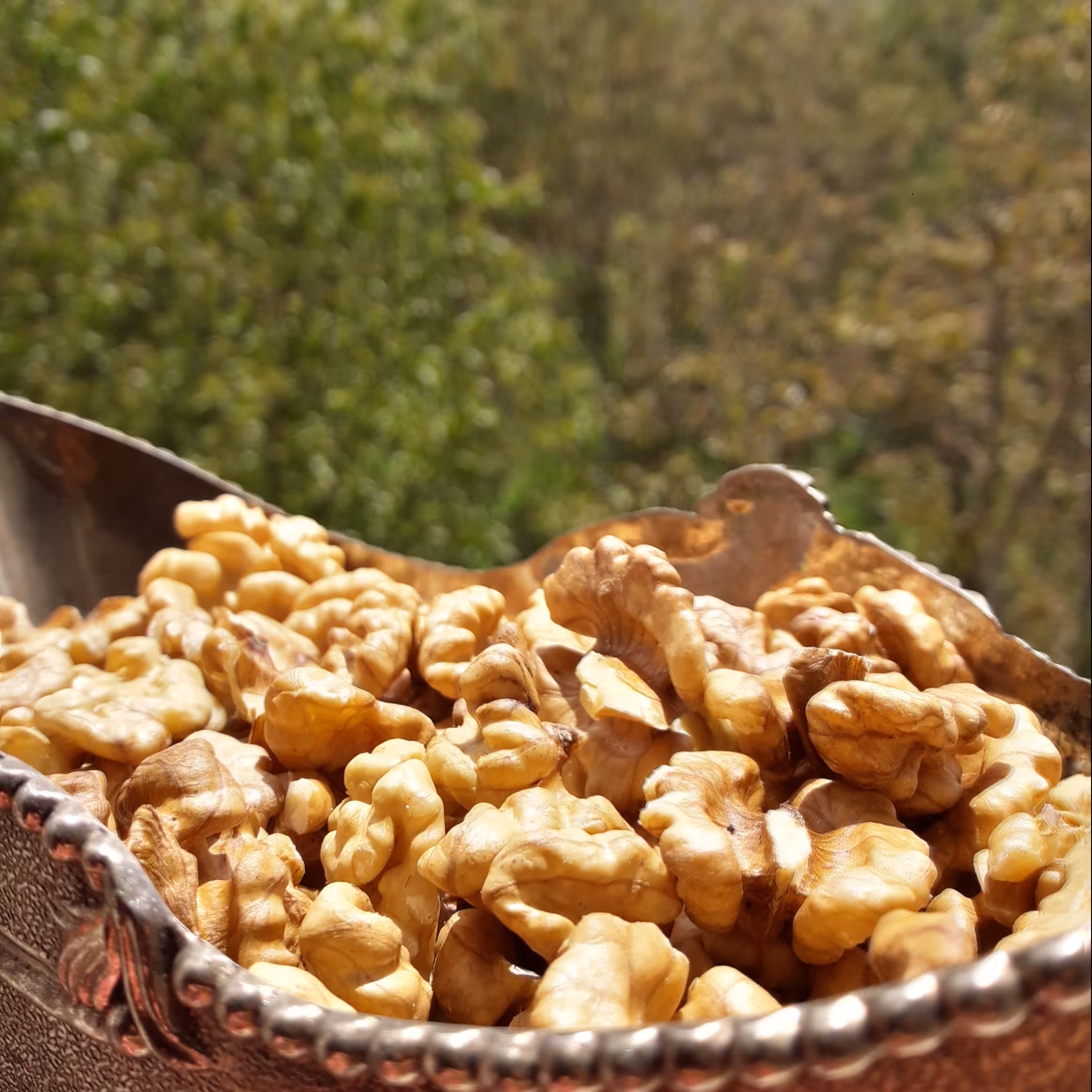 مغزگردوسفید خوانسار100درصدتضمینی (یک کیلویی)