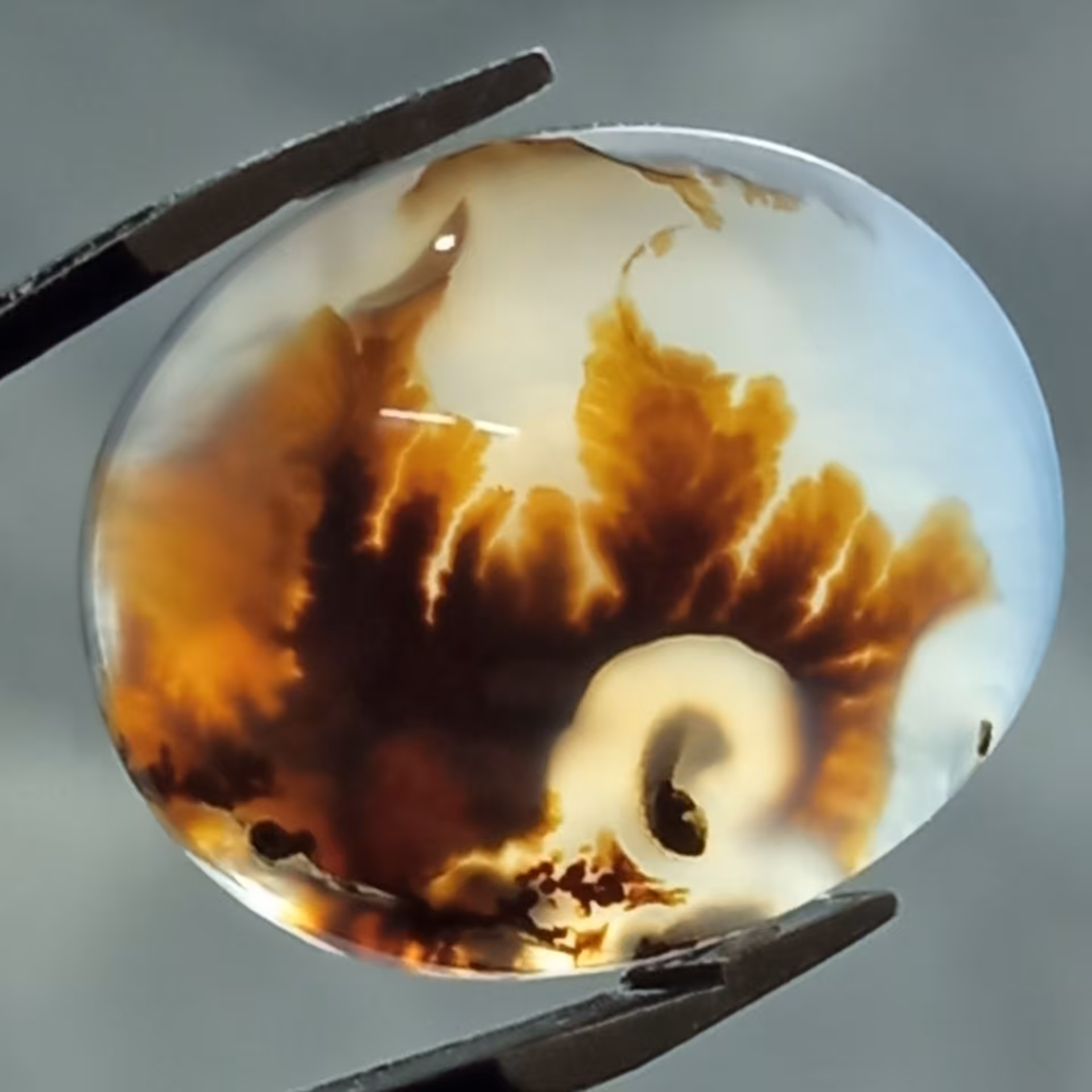 نگین اصل شجر قائن منظره دار بسیار زیبا