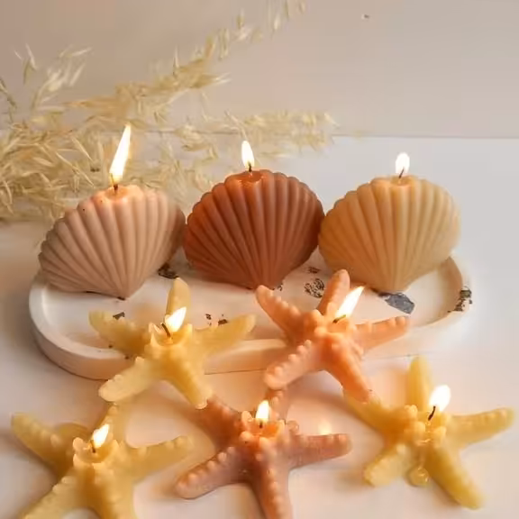 شمع صدف 