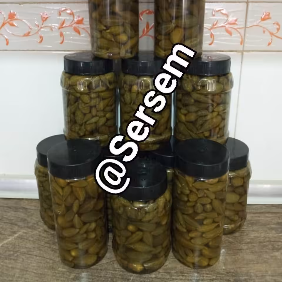 ترشی شپله(کبر)