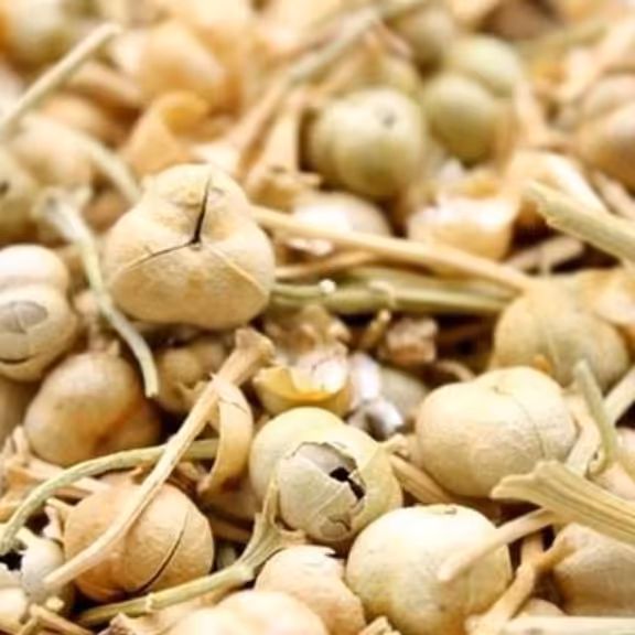 اسپند نخودی یک کیلو