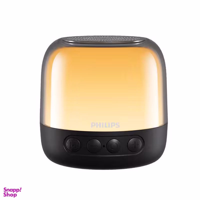 اسپیکر قابل حمل فیلیپس مدل Tas1108