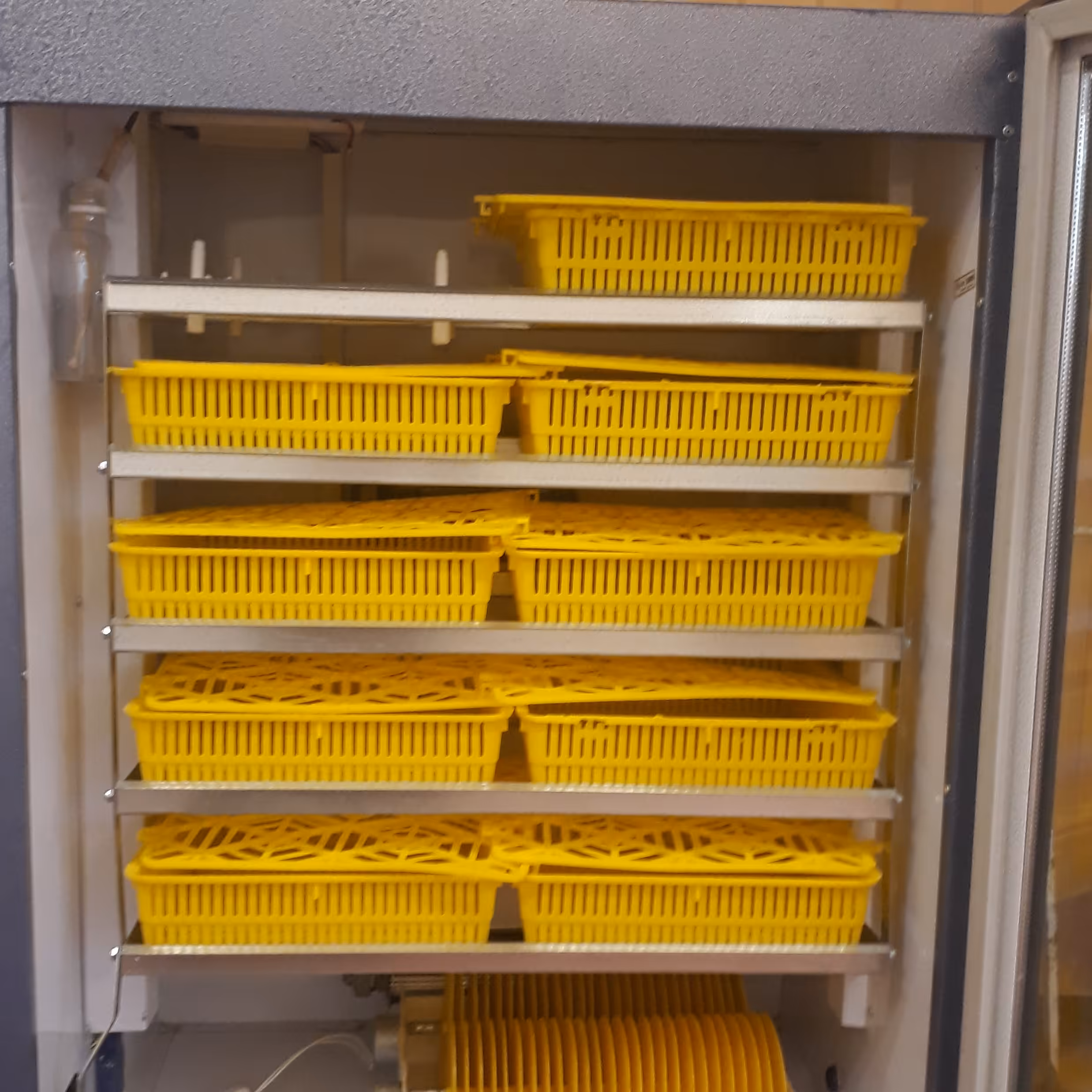 دستگاه جوجه کشی  بلدرچین دماوند 580 تایی مرغ و1000 تایی بلدرچین  رنگ ابی  یک متر در 120 