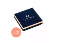 رژگونه کد LB22 لدورا بیوتی ۱۸ گرمی