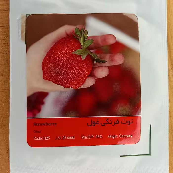 بذر توت فرنگی غول