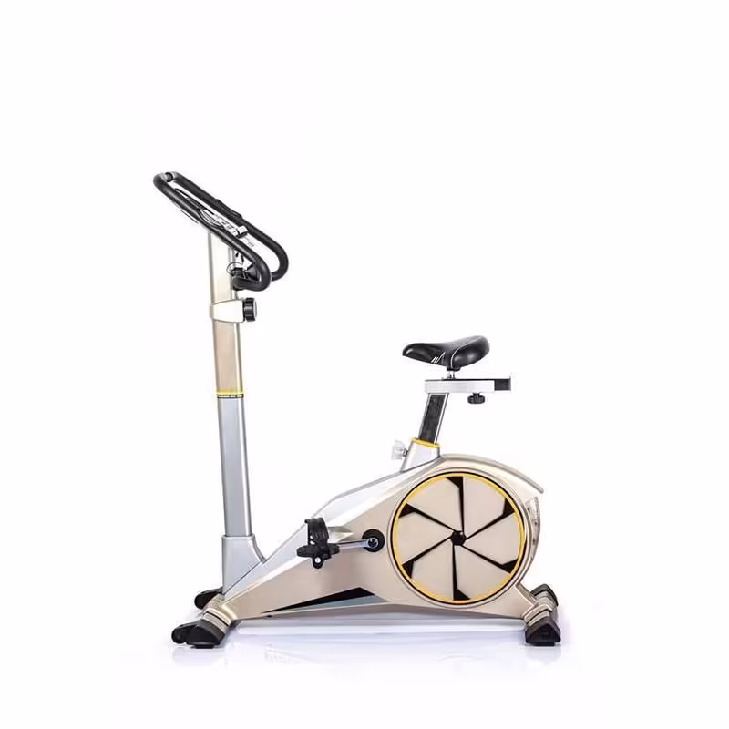 دوچرخه ثابت تایگر اسپرت TIGER SPORT-G 100