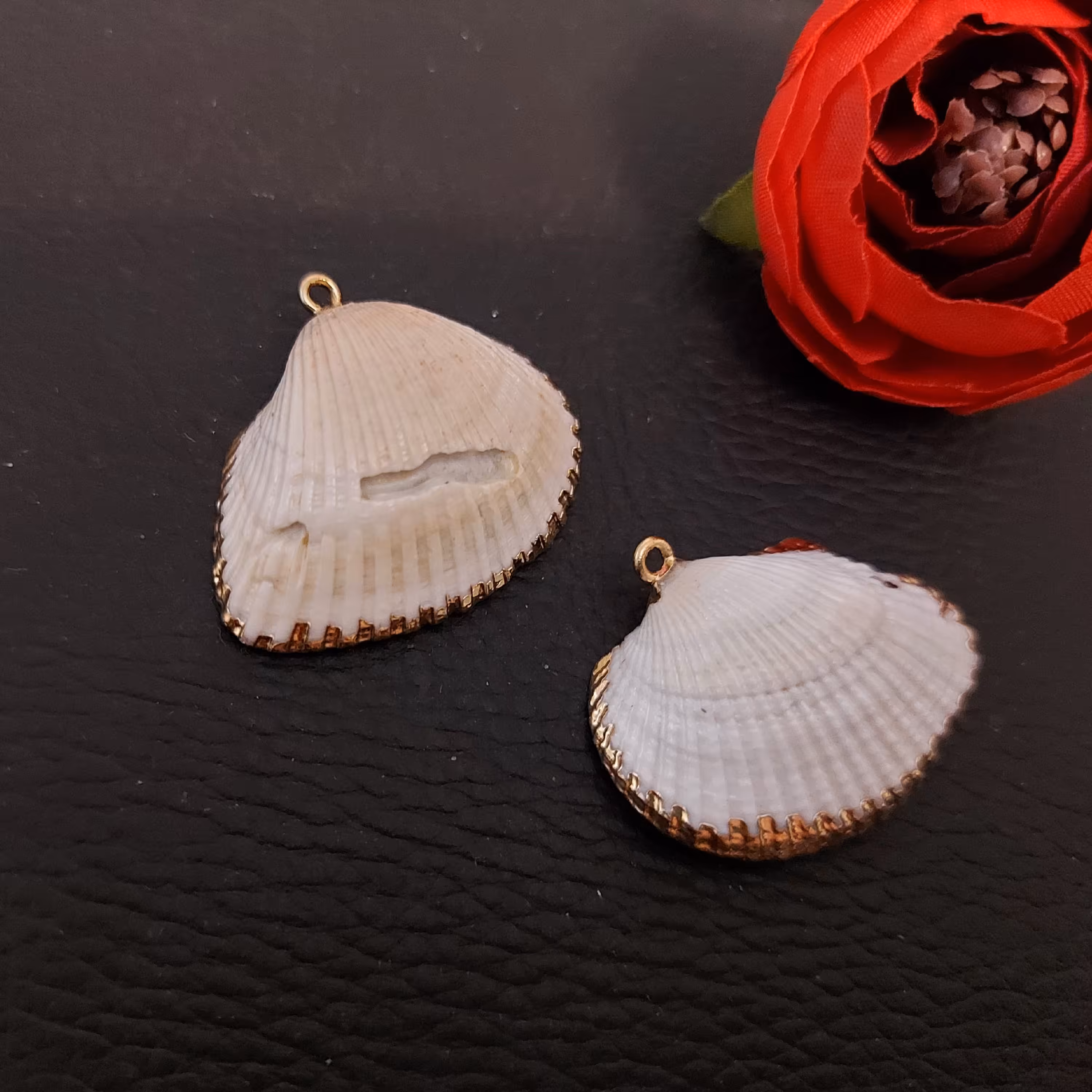 صدف طبیعی آبکاری شده 