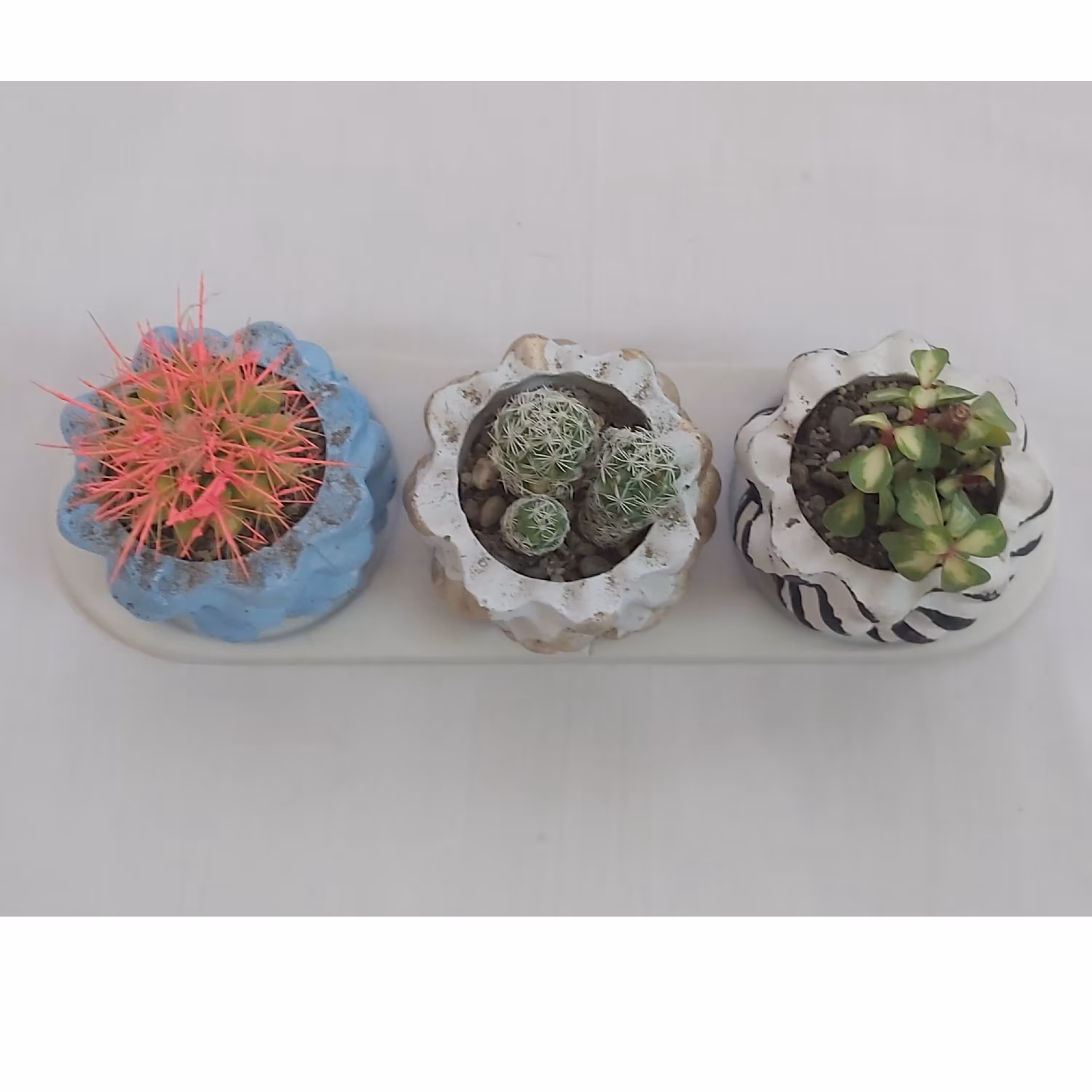 گلدون سه تایی