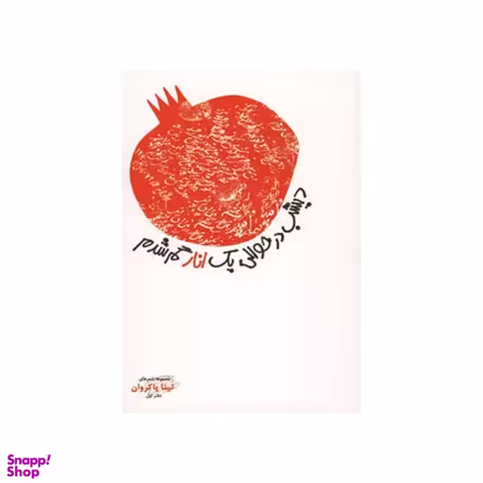 کتاب دیشب در حوالی یک انار گم شدم اثر تینا پاکروان نشر ثالث