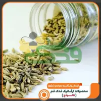 زیره سبز ممتاز فدک شعبه 5(120گرم)

