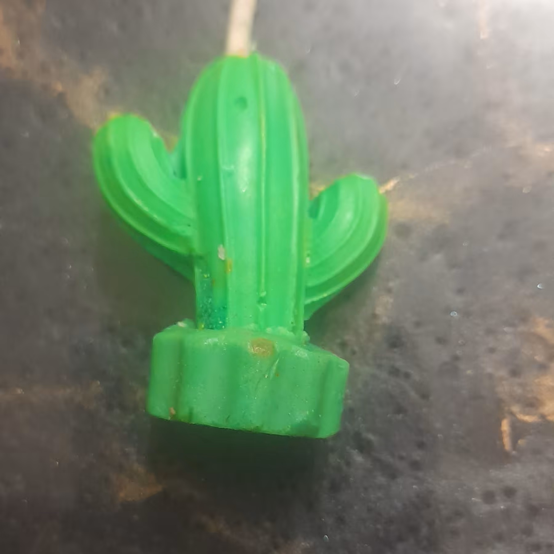 شمع تولد وجشن طرح کاکتوس