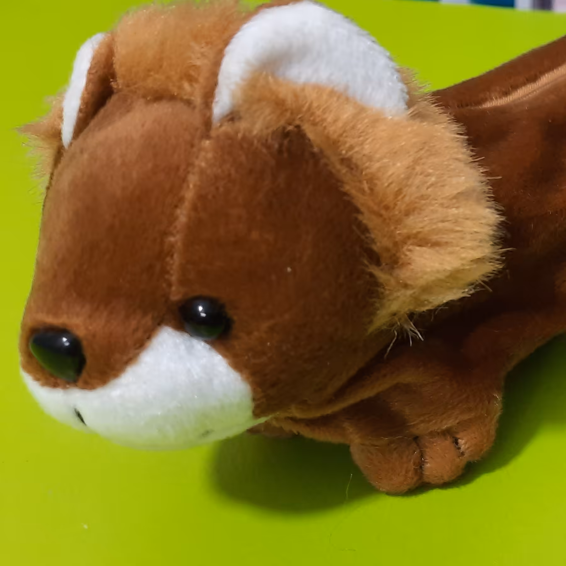 جامدادی پولیشی 