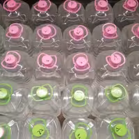 گلاب درجه یک 30 گل