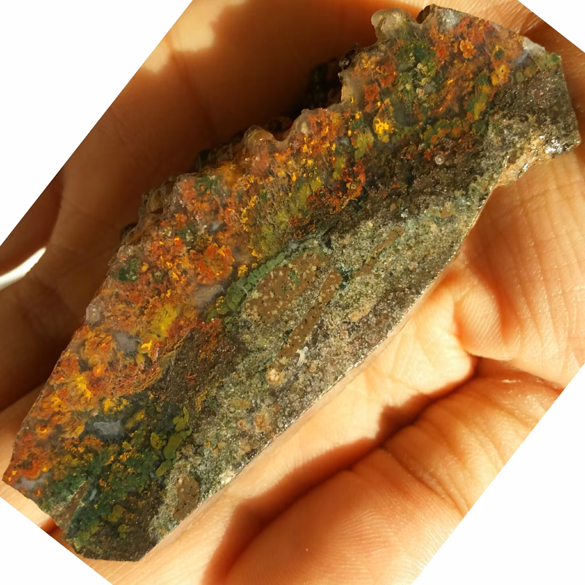 اسلایس سنگ راف شجر منظره 7رنگ خاص فوق العاده 100 در 100 طبیعی بی نظیر