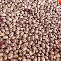 لوبیا چیتی 900گرم