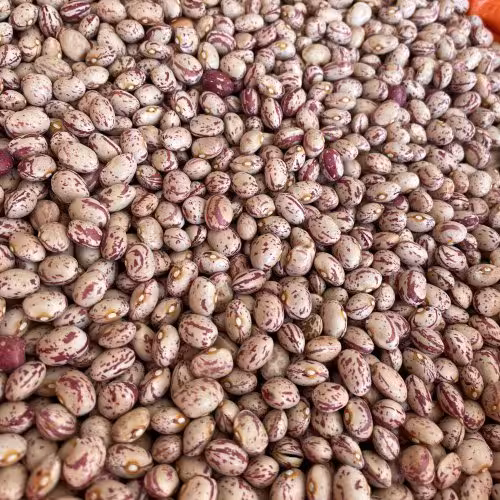 لوبیا چیتی 900گرم