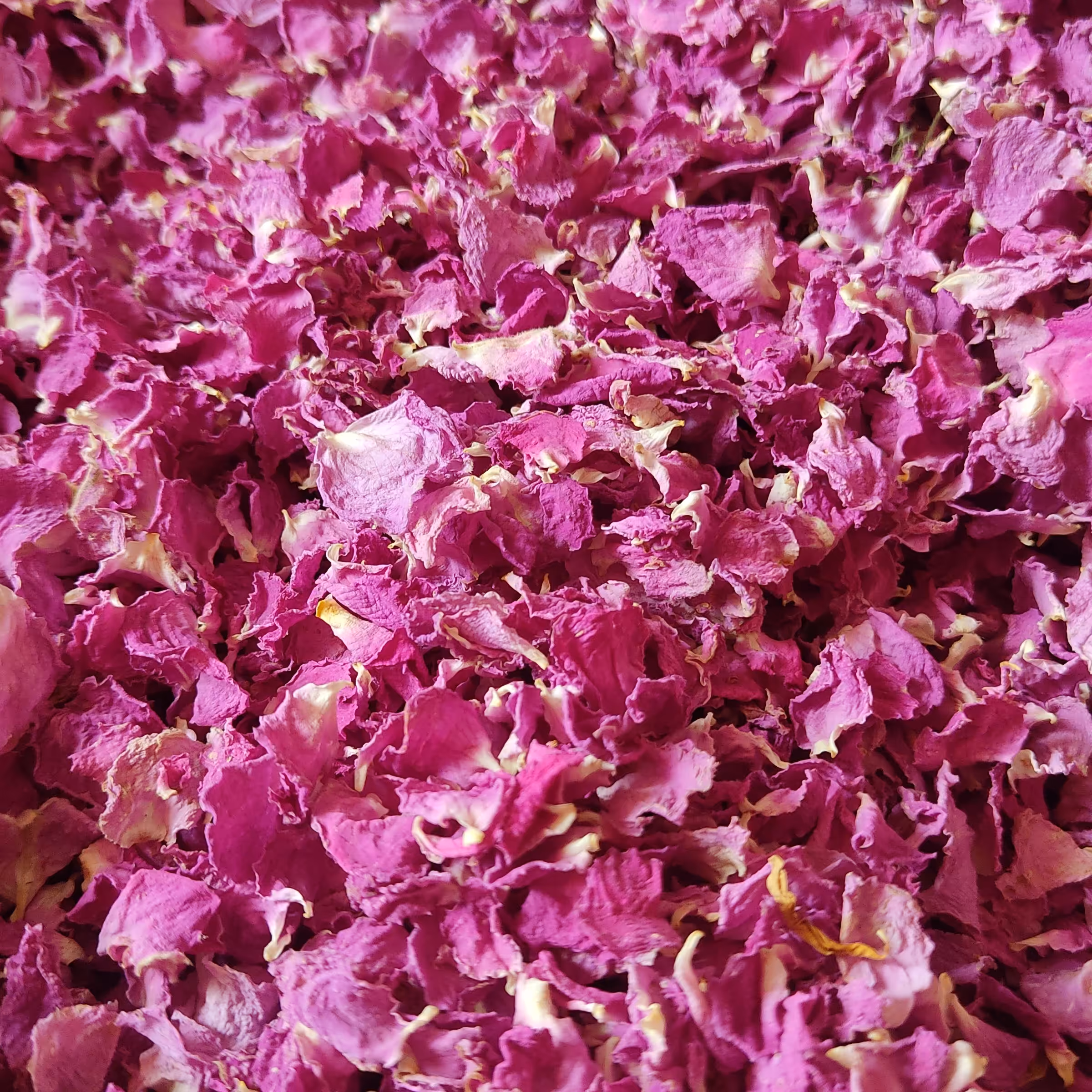 پرخشک گل محمدی(200گرمی)