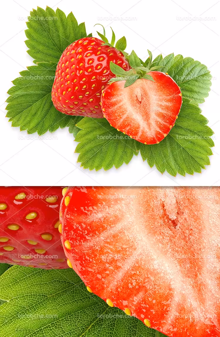 عکس توت فرنگی تازه | گرافیک با طعم تربچه