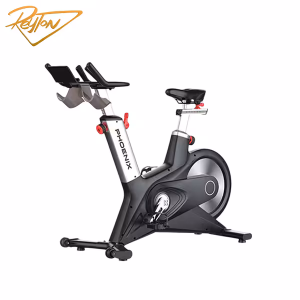 دوچرخه ثابت DHZ مدل فونیکس S300